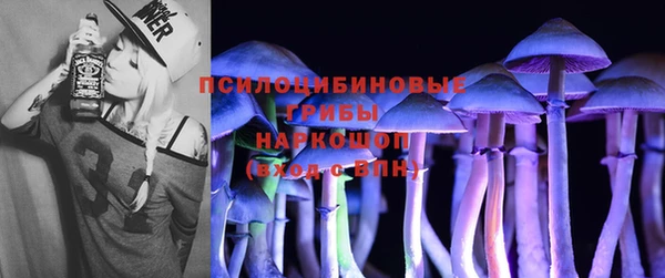 мяу мяу мука Алзамай